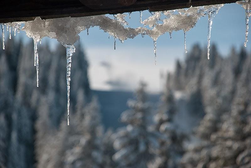 Apartment Suncani Vrhovi Kopaonik Exterior photo